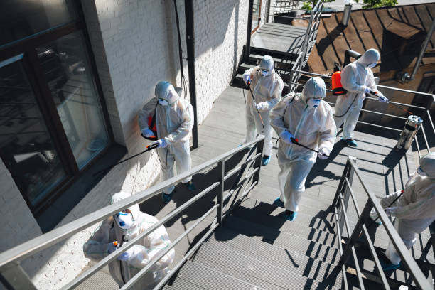Mold Remediation for Vacation Homes in Childersburg, AL