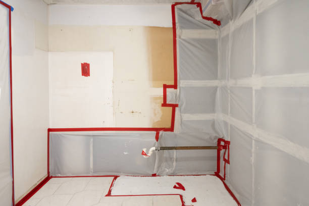 Best Attic Mold Removal  in Childersburg, AL