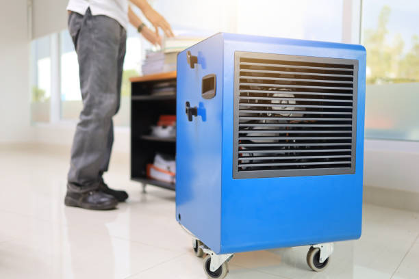 Best Mold-Related Health Consultation  in Childersburg, AL