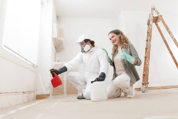 Best Mold Remediation for Vacation Homes  in Childersburg, AL